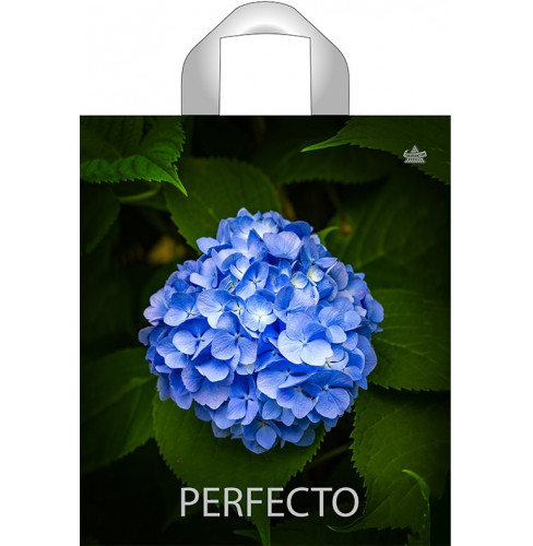 35*31 Perfecto Гортензия