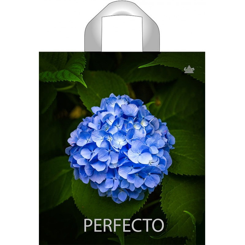 35*31 Perfecto Гортензия